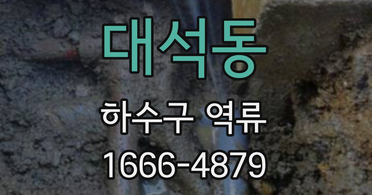 대석동 하수구 역류