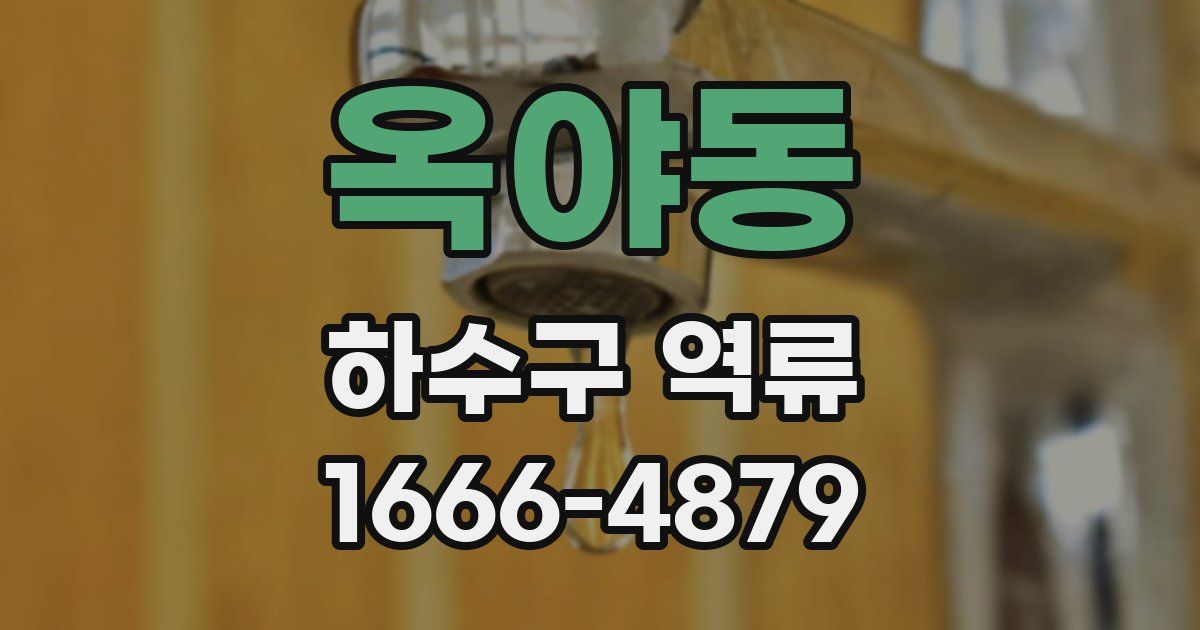 옥야동 하수구 역류