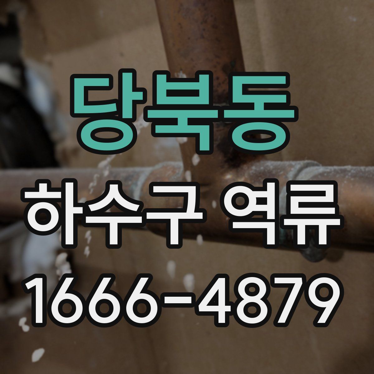 당북동 하수구 역류