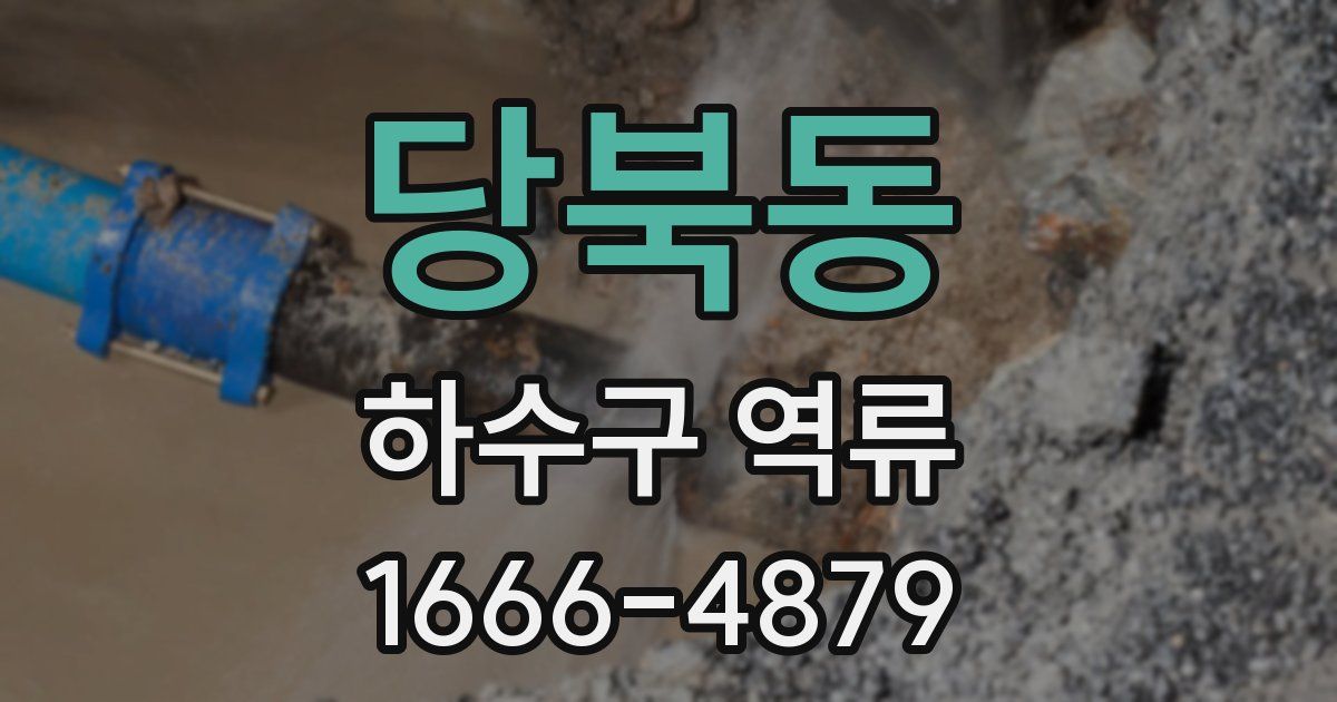 당북동 하수구 역류