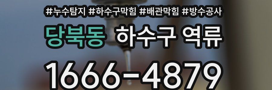 당북동 하수구 역류