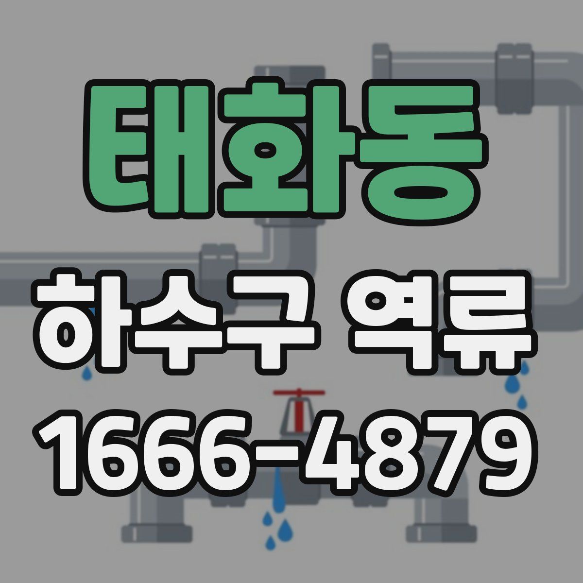 태화동 하수구 역류