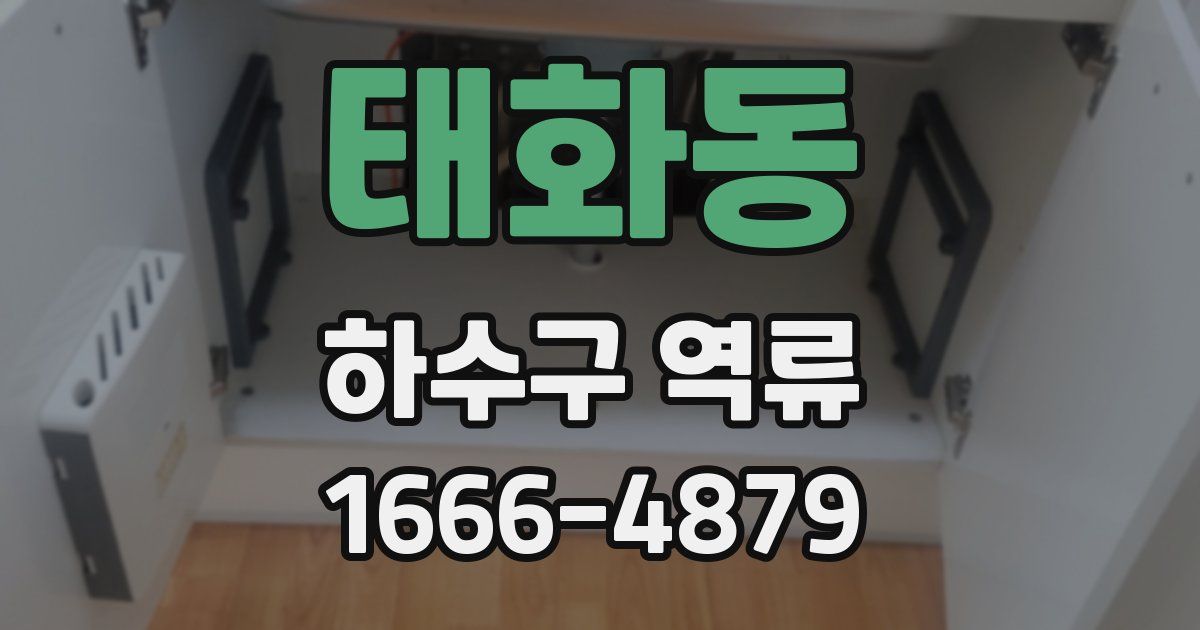 태화동 하수구 역류