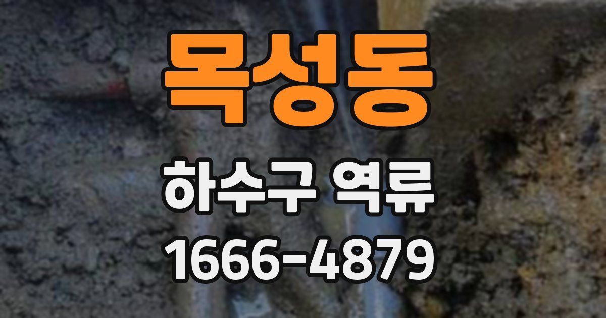 목성동 하수구 역류