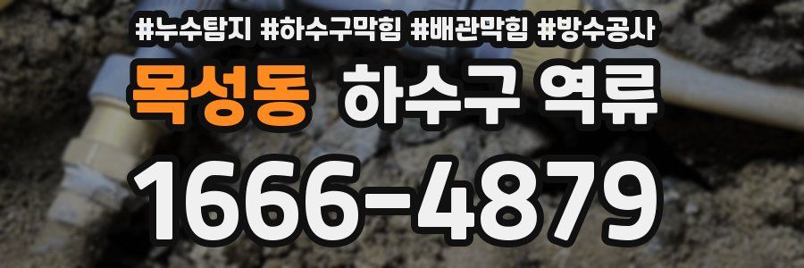 목성동 하수구 역류