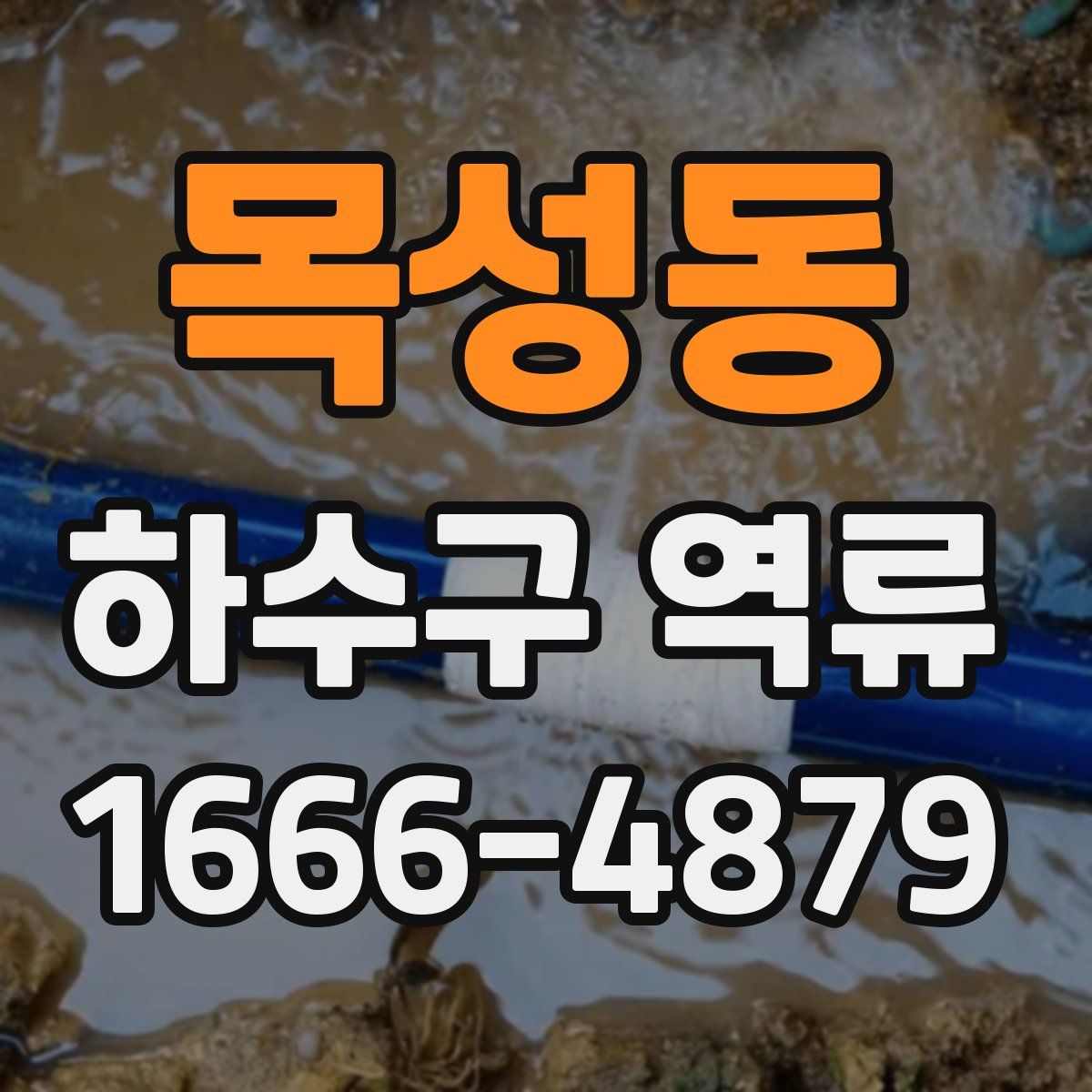 목성동 하수구 역류