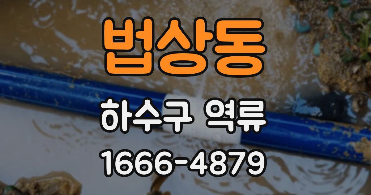 법상동 하수구 역류