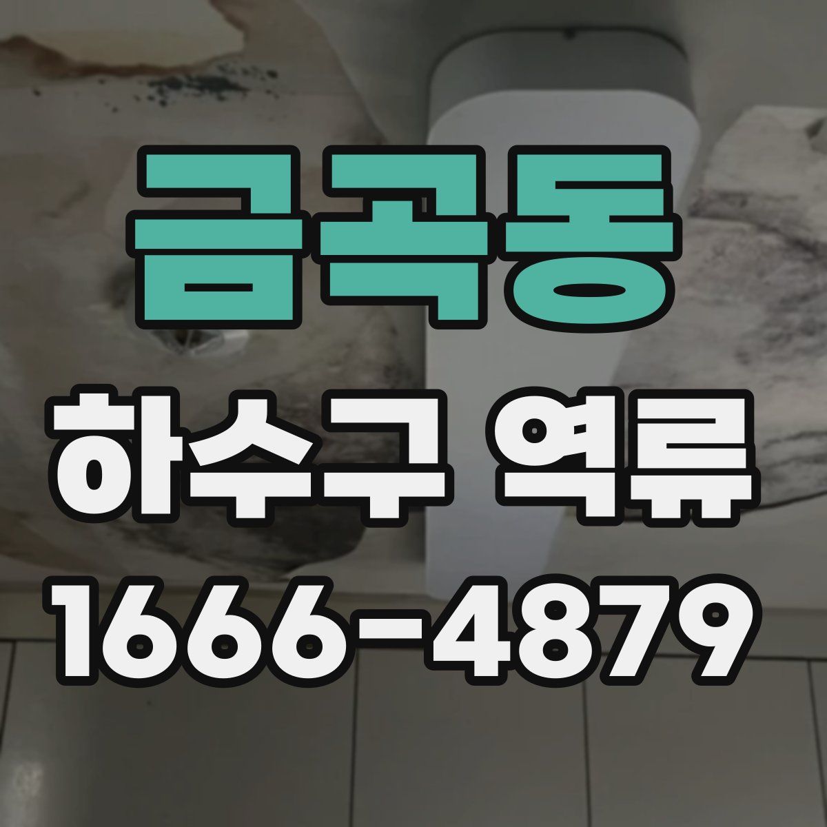 금곡동 하수구 역류