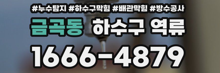 금곡동 하수구 역류