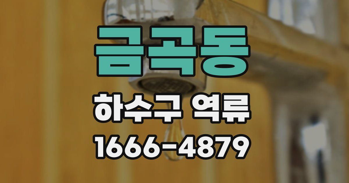 금곡동 하수구 역류