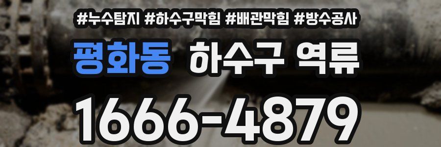평화동 하수구 역류