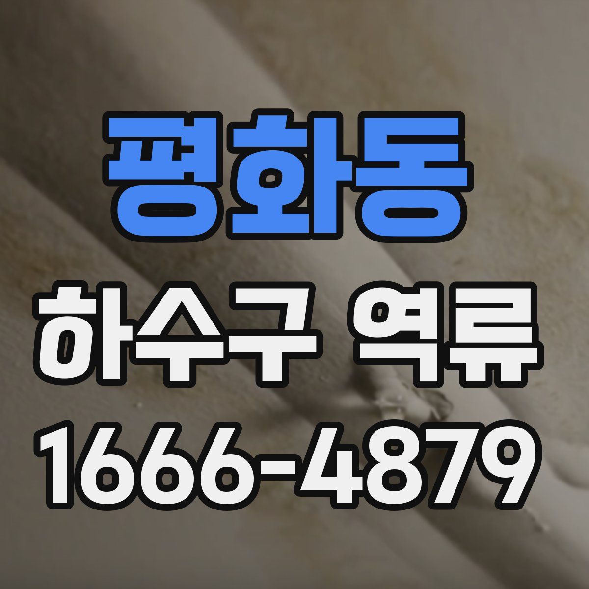 평화동 하수구 역류