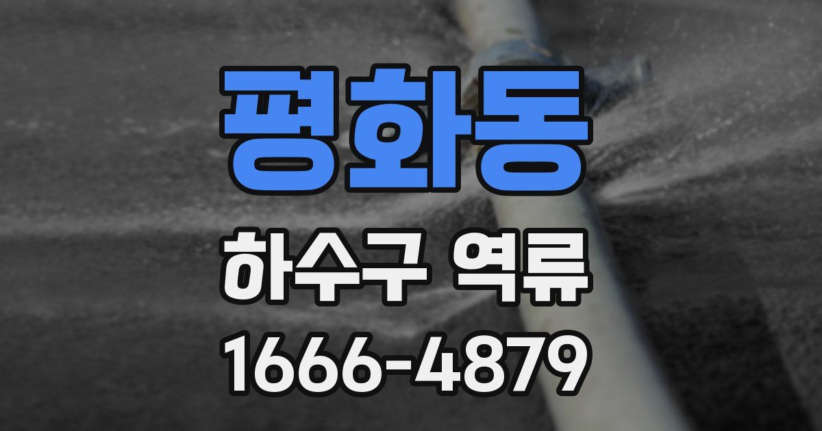 평화동 하수구 역류