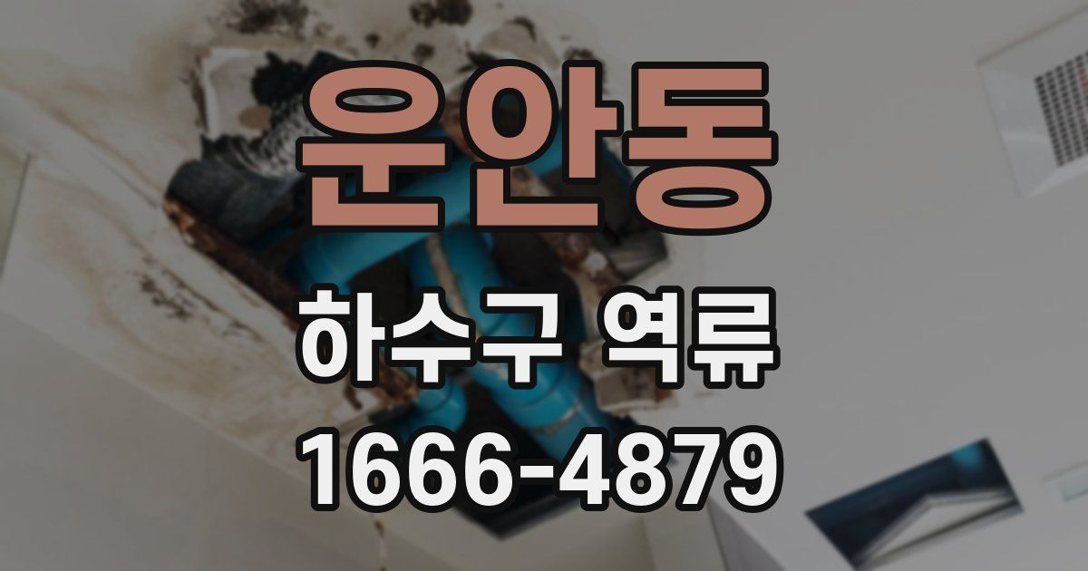 운안동 하수구 역류