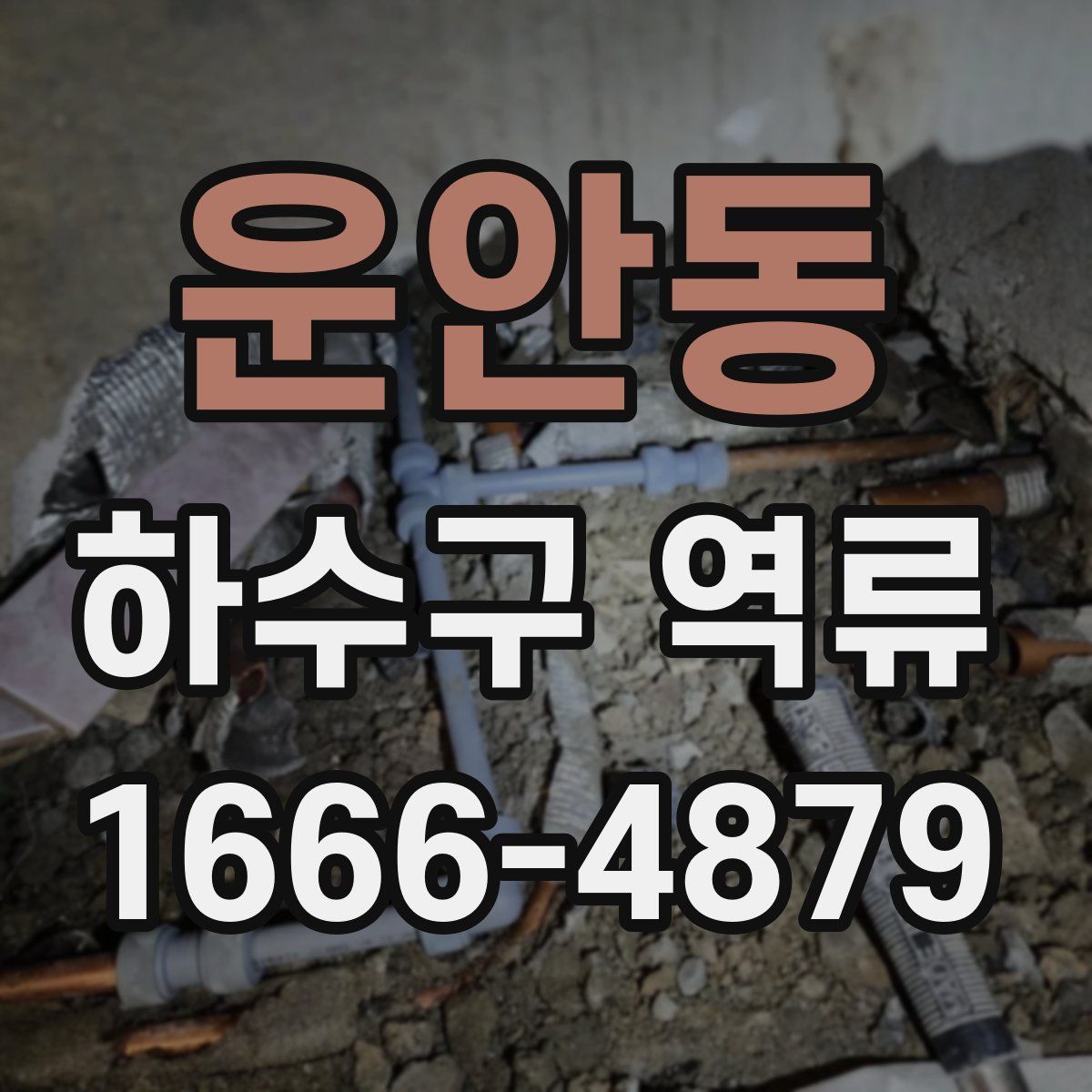 운안동 하수구 역류