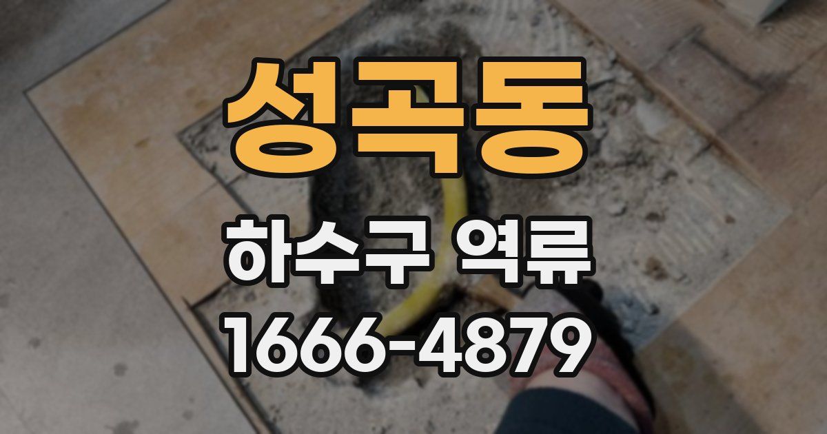 성곡동 하수구 역류