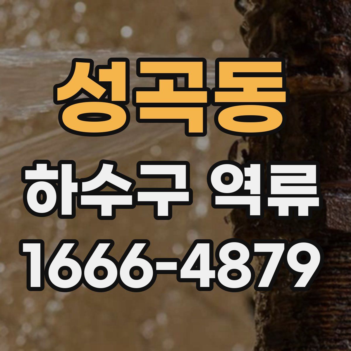 성곡동 하수구 역류