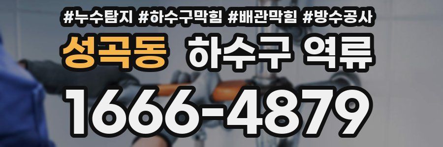성곡동 하수구 역류