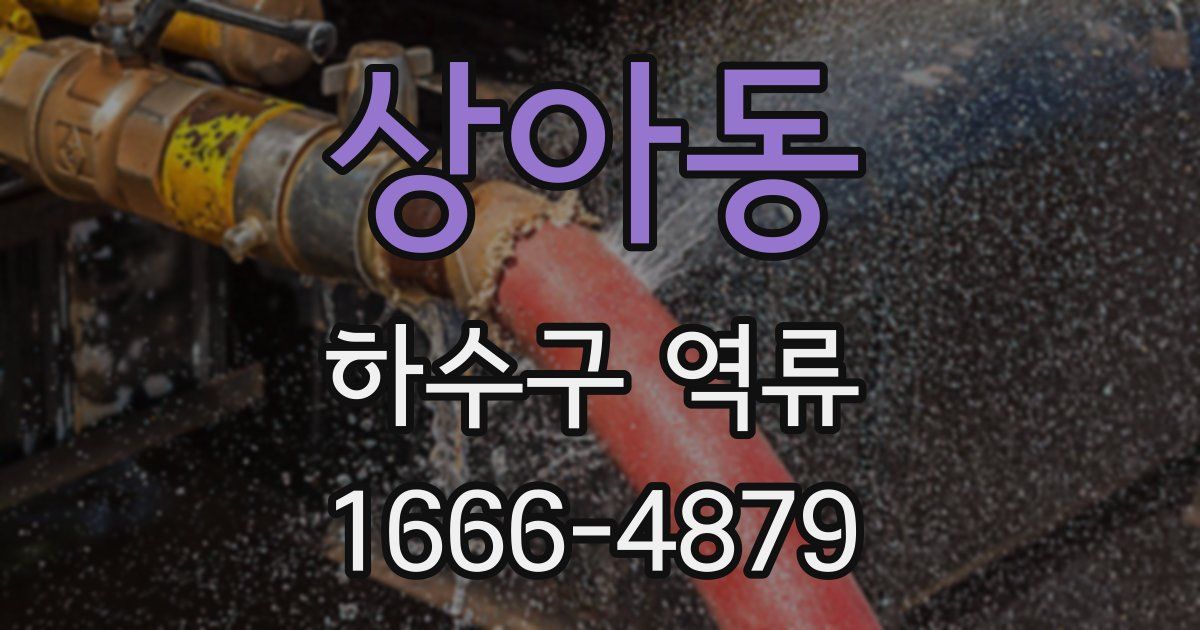 상아동 하수구 역류