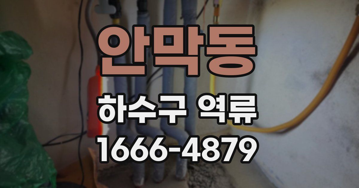 안막동 하수구 역류