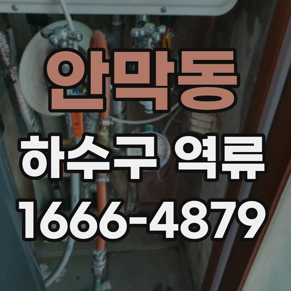 안막동 하수구 역류