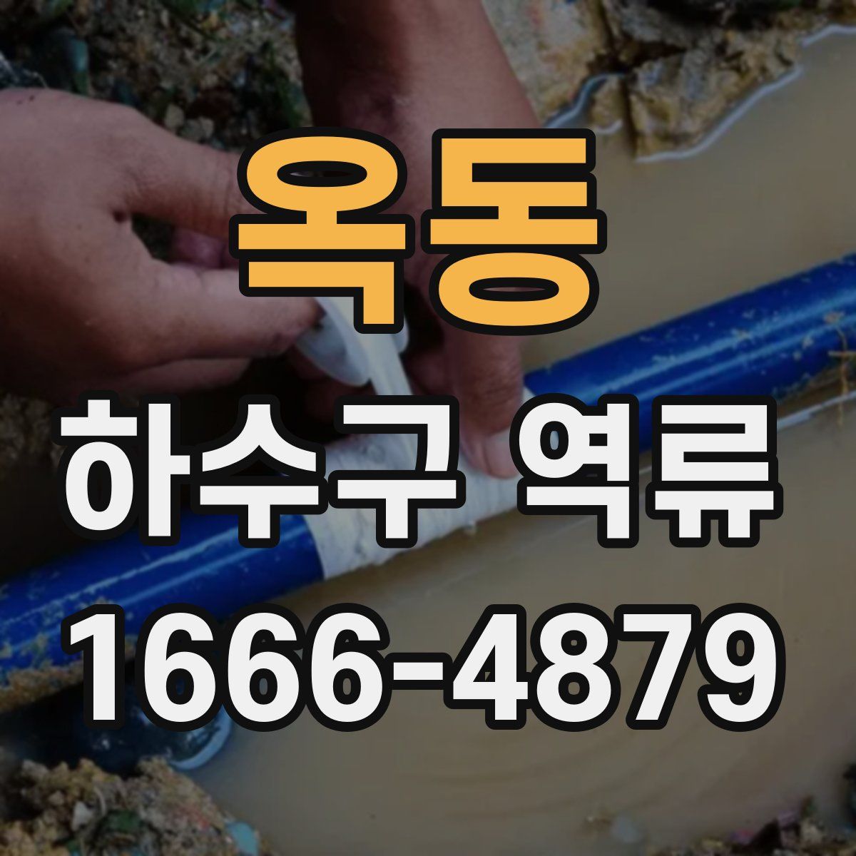 옥동 하수구 역류