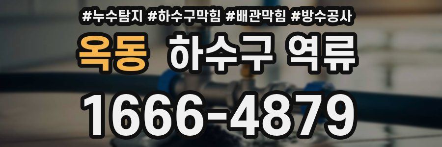 옥동 하수구 역류