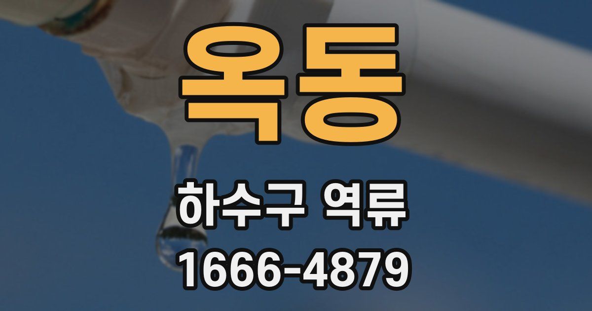 옥동 하수구 역류