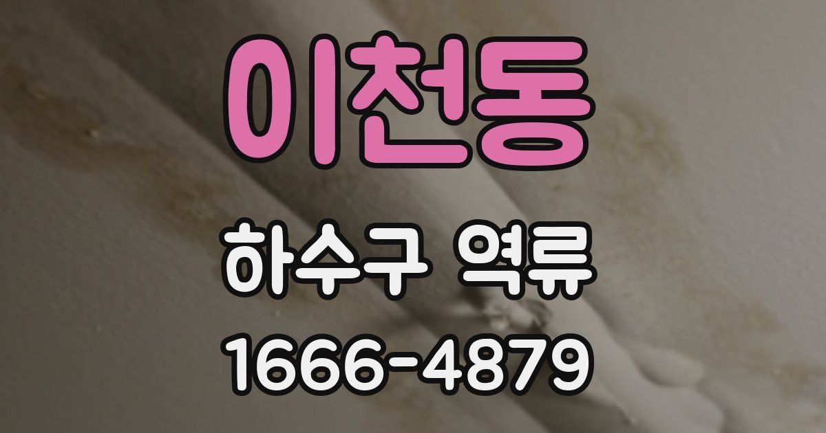 이천동 하수구 역류