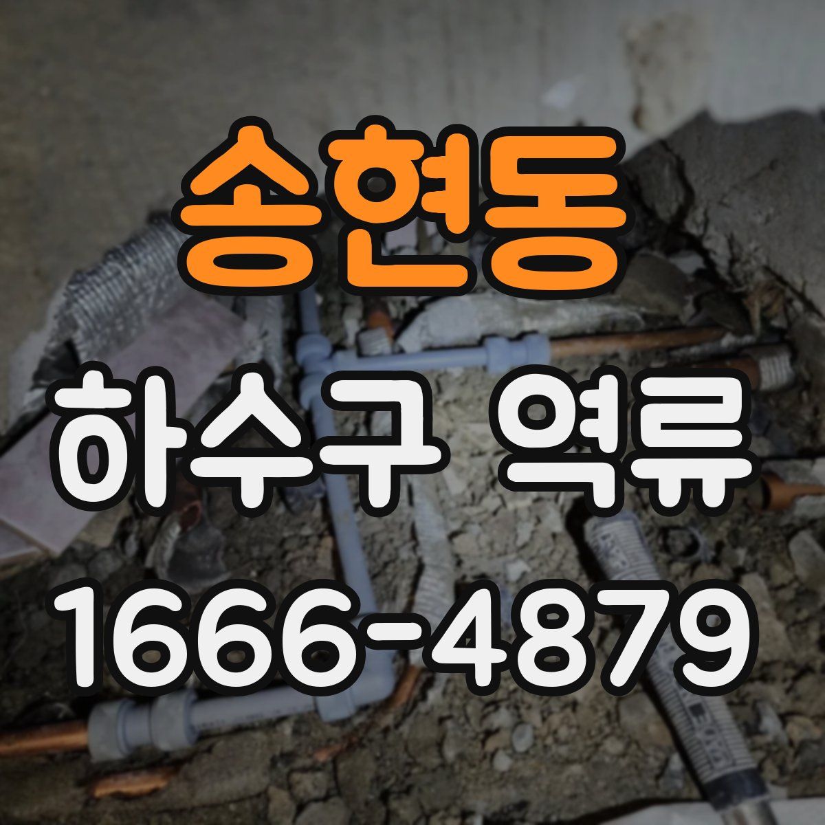 송현동 하수구 역류