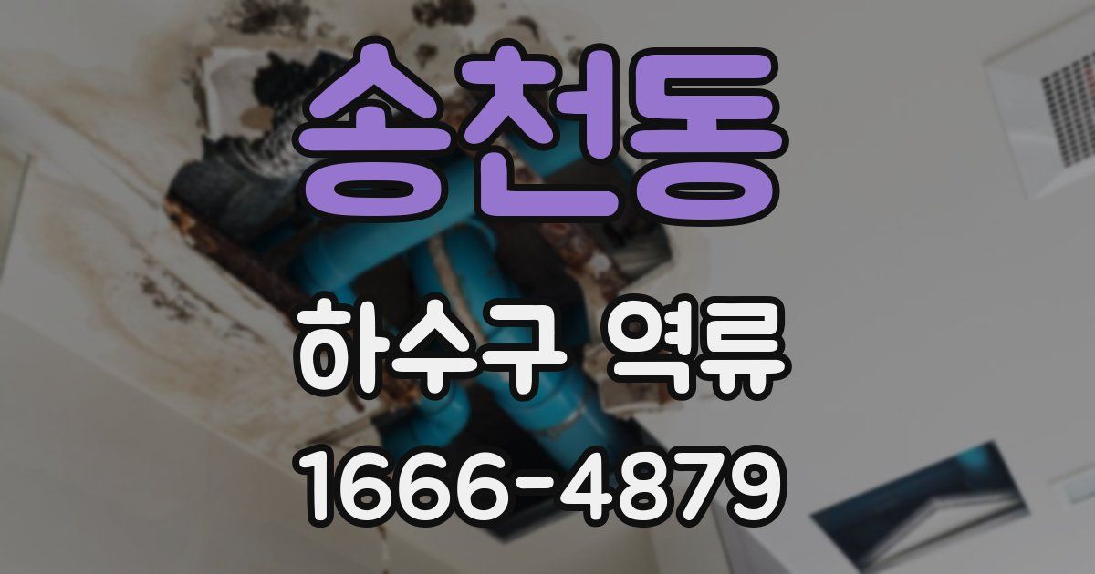송천동 하수구 역류