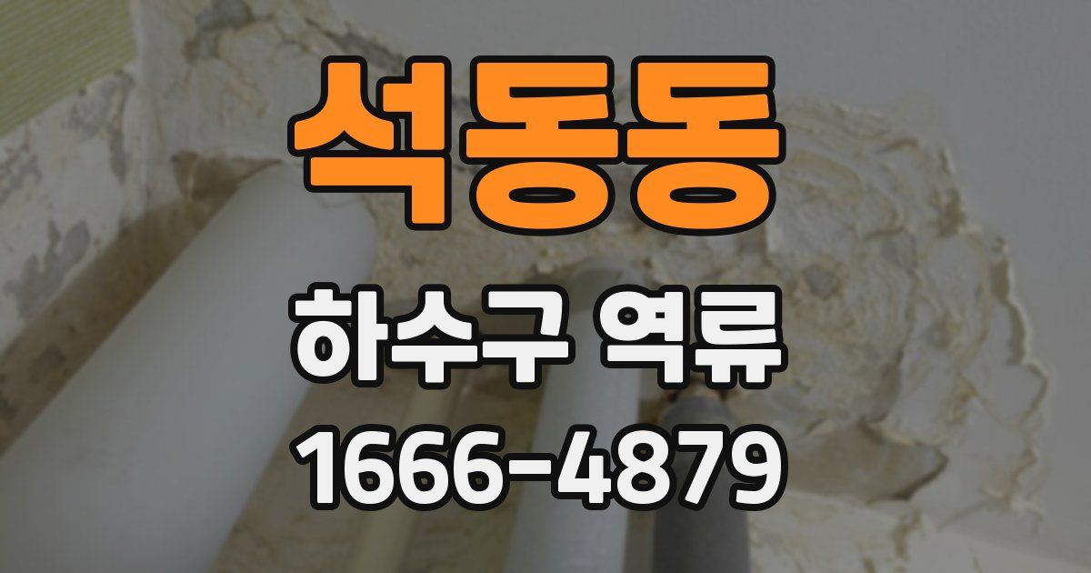 석동동 하수구 역류