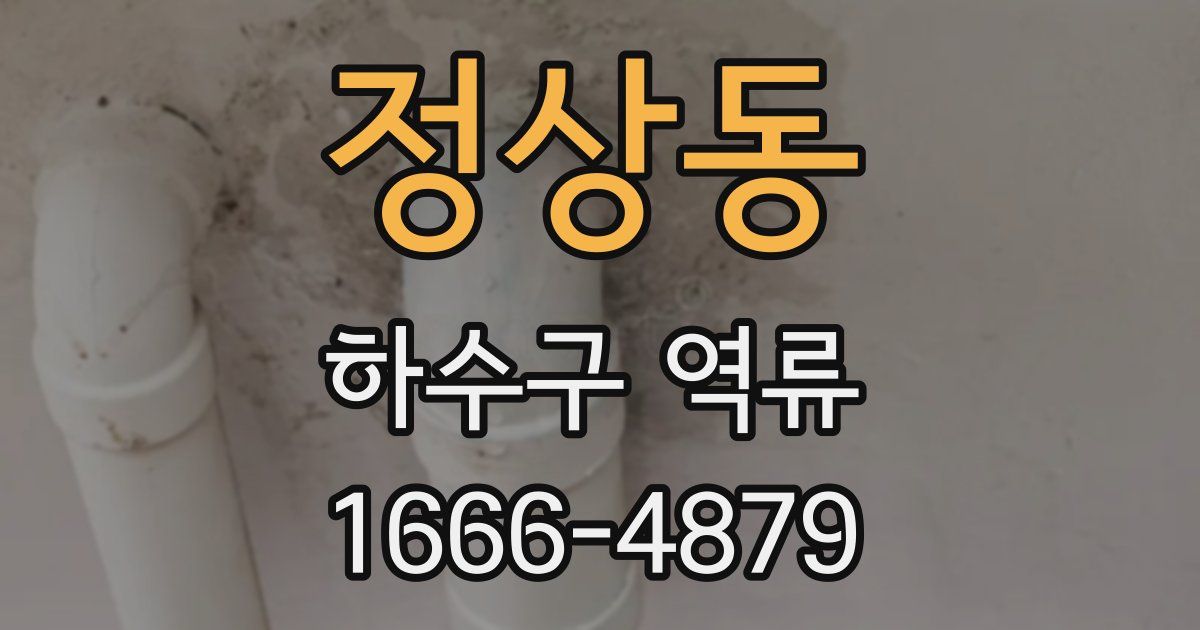 정상동 하수구 역류