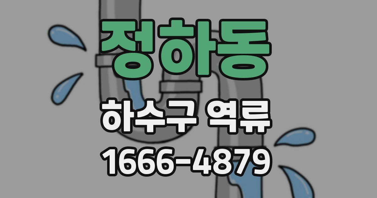 정하동 하수구 역류