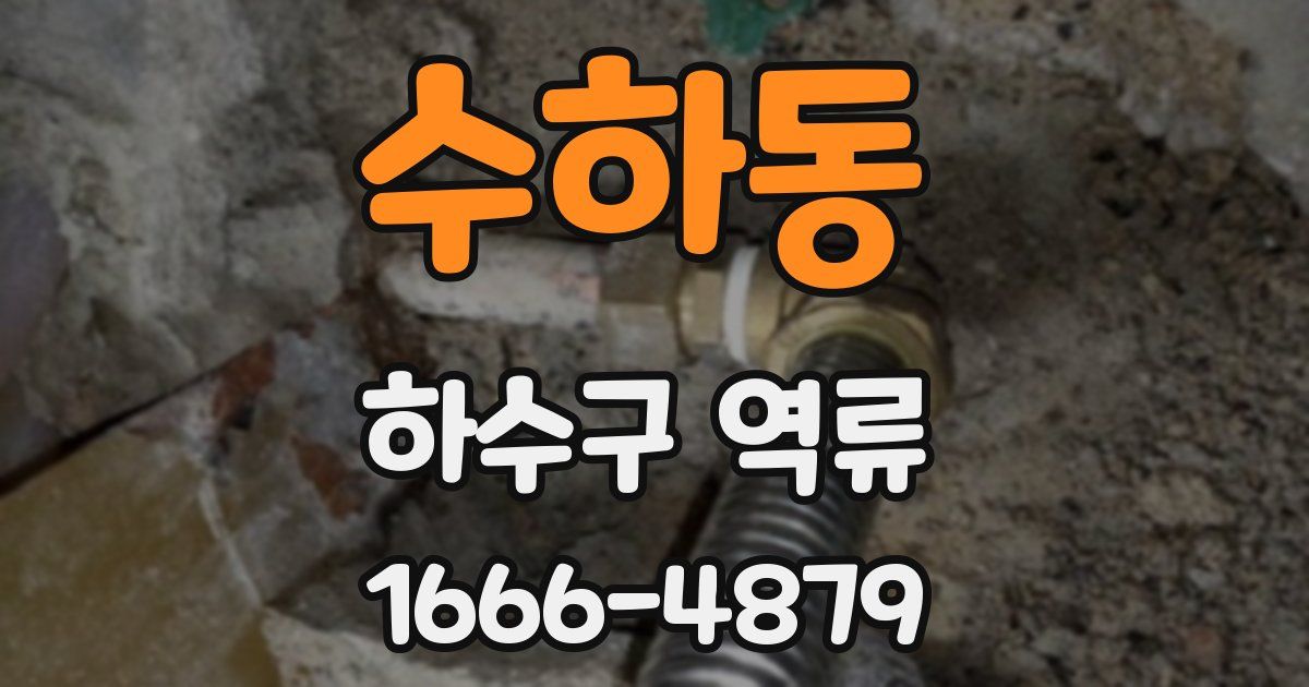 수하동 하수구 역류