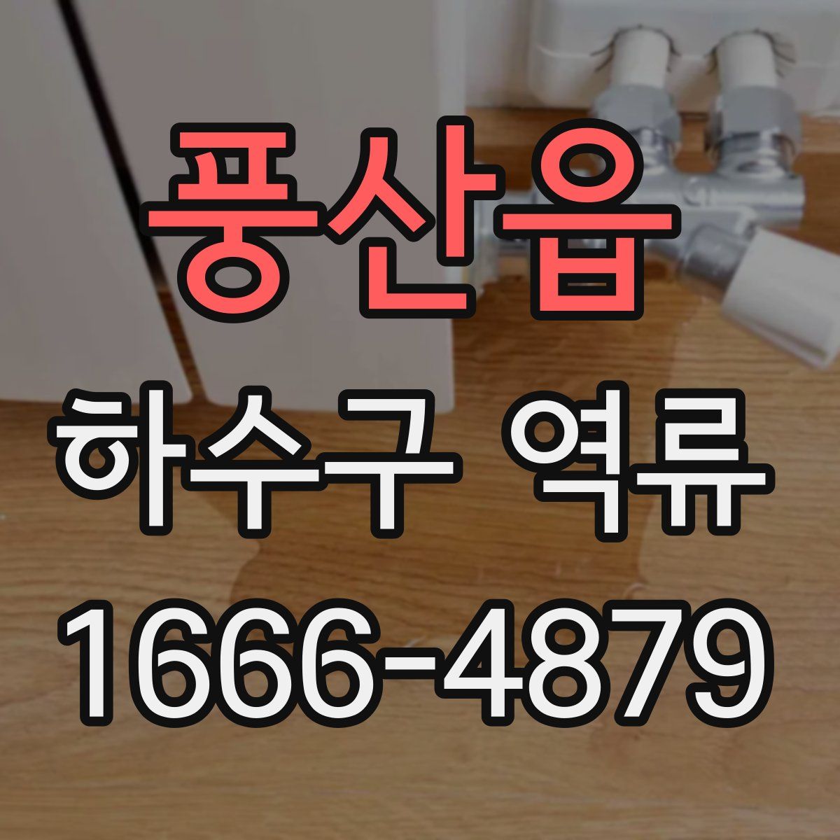 풍산읍 하수구 역류