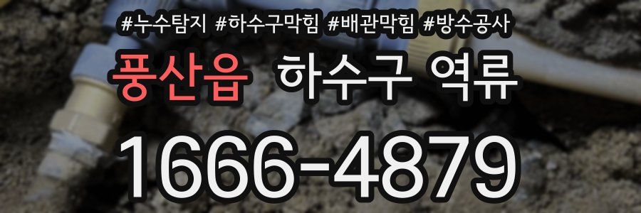 풍산읍 하수구 역류