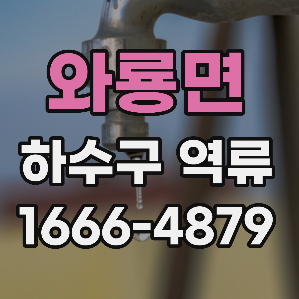 와룡면 하수구 역류