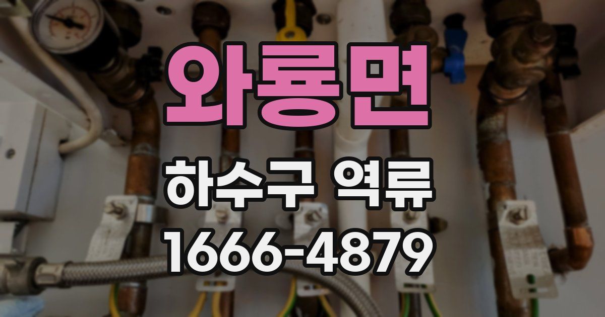 와룡면 하수구 역류