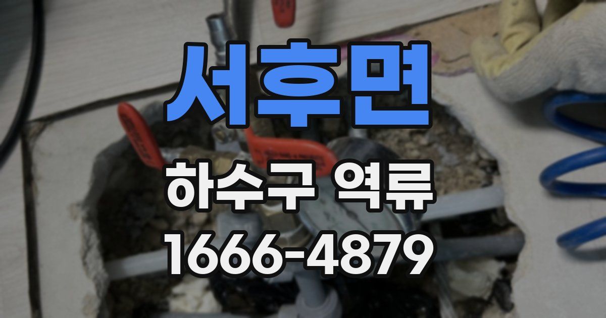 서후면 하수구 역류
