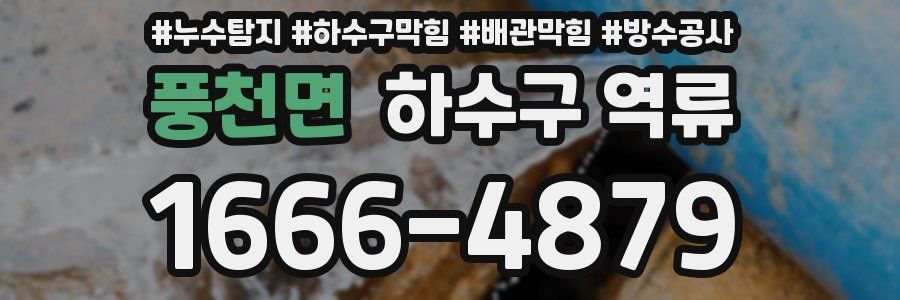 풍천면 하수구 역류