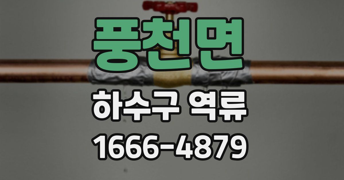 풍천면 하수구 역류