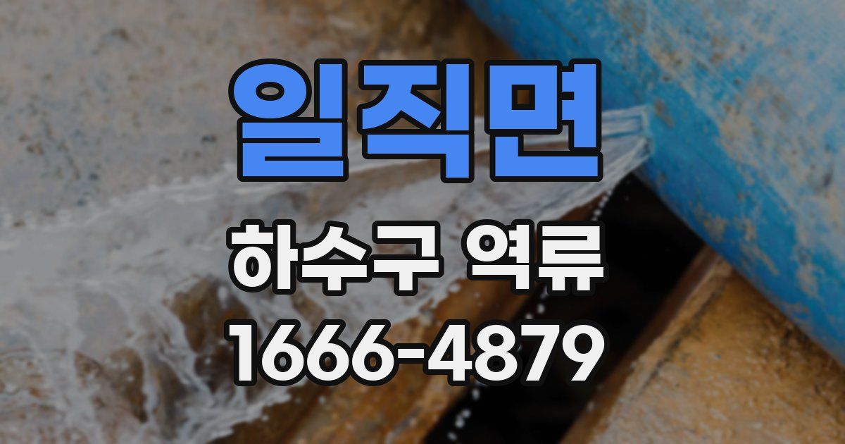 일직면 하수구 역류