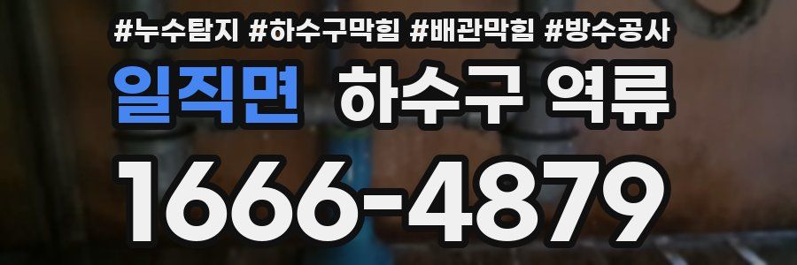 일직면 하수구 역류