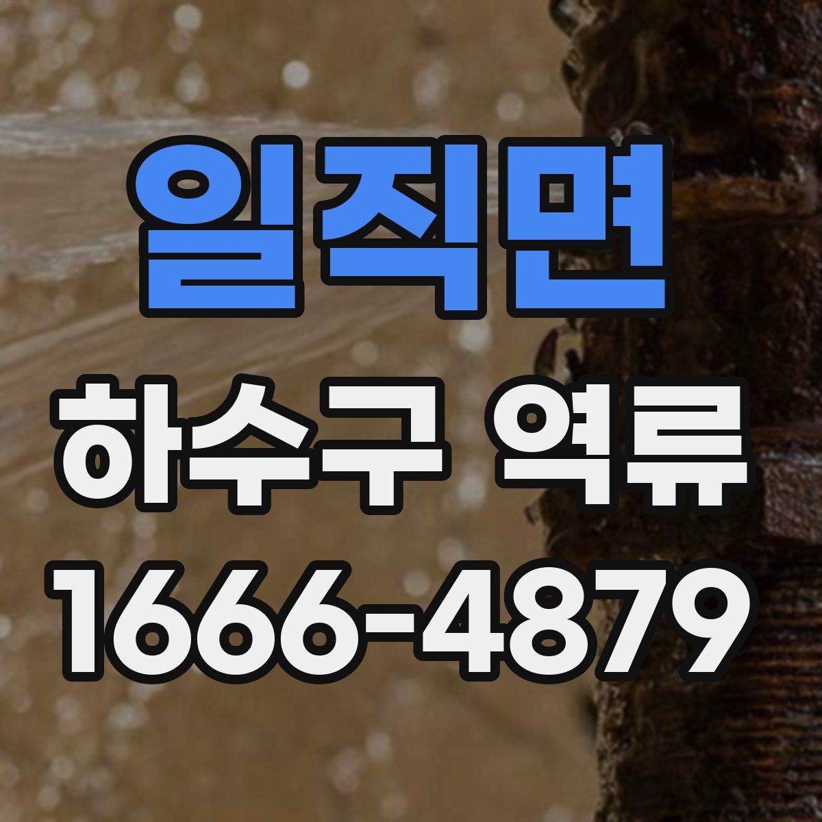 일직면 하수구 역류