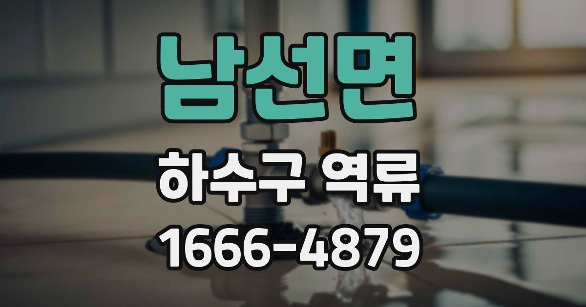 남선면 하수구 역류
