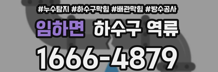 임하면 하수구 역류