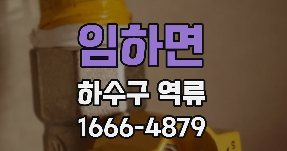 임하면 하수구 역류