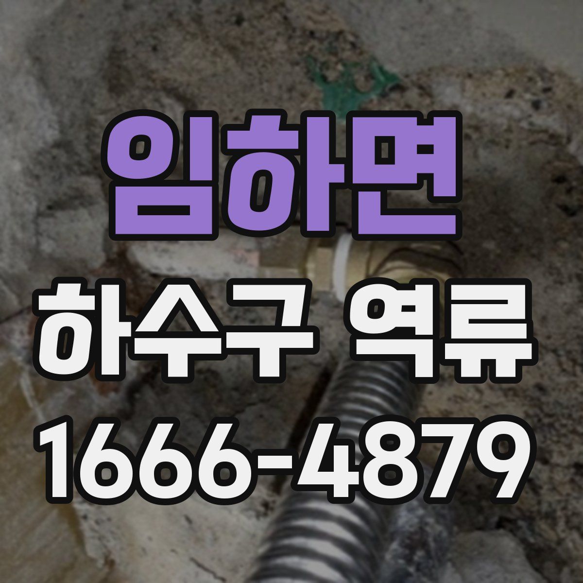 임하면 하수구 역류