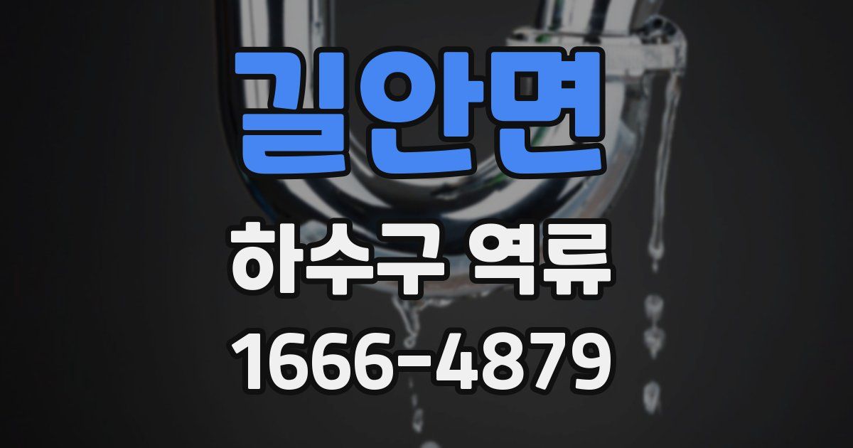 길안면 하수구 역류
